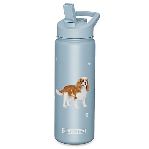 Water Bottle - Cavalier King Charles - OUT OF STOCK